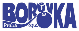 logo Borůvka