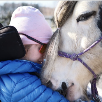 Terapeutický kůň: Když blízkost léčí
